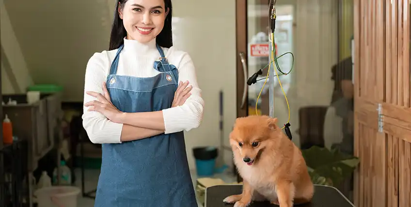 Best Business Loans for Pet Care Services Groomers, Daycares & Vets Best Business Loans for Pet Care Services Groomers, Daycares & Vets