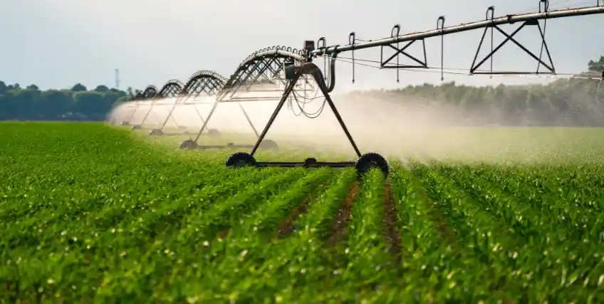 5 Emerging Sectors to Invest in Small Business Growth This Year