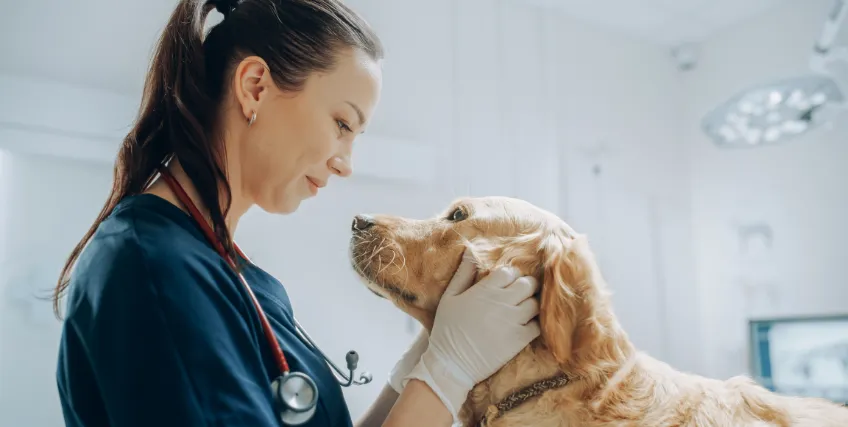 Financing for Veterinary Care: Loan Options to Grow Your Clinic Financing for Veterinary Care: Loan Options to Grow Your Clinic