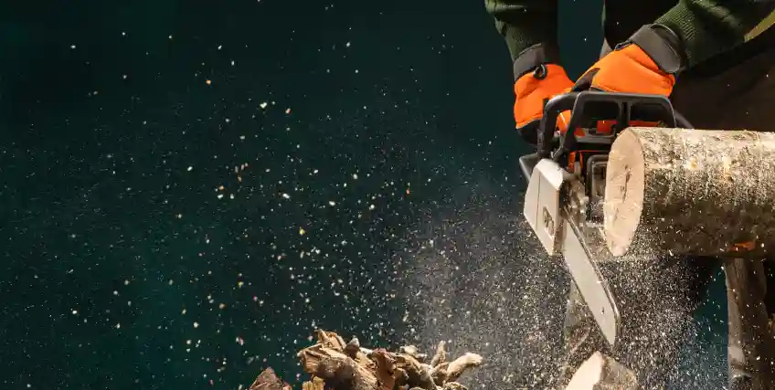 Forestry Equipment Financing: Grants, Loans & Leasing for 2025 Forestry Equipment Financing: Grants, Loans & Leasing for 2025