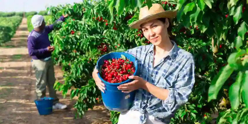 Seasonal Business: Here’s Why You May Need a Quick Loan Seasonal Business: Here’s Why You May Need a Quick Loan