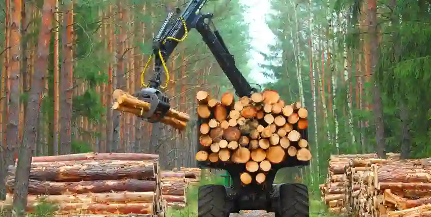 Top Forestry Equipment Financing Solutions for Small Logging Businesses Top Forestry Equipment Financing Solutions for Small Logging Businesses