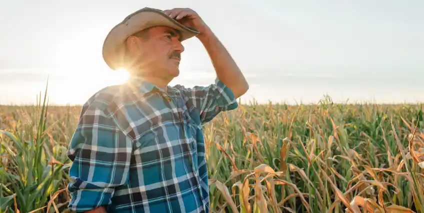 Is a Working Capital Loan Right for Your Agri Business? Is a Working Capital Loan Right for Your Agri Business?